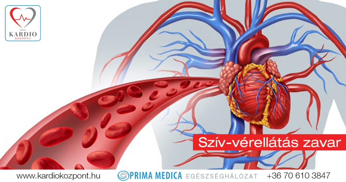 Bevezetés a szociálpolitikába - könyv