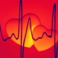 Ritkább szívritmuszavarok diagnosztizálásában segíthet a 48 órás EKG