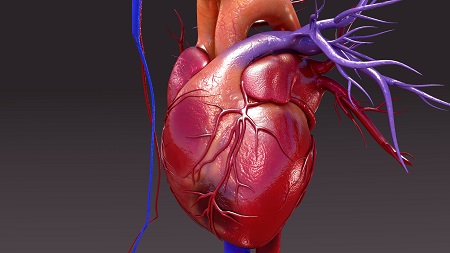 Az ischaemiás szívbetegség okai és kezelése - EgészségKalauz