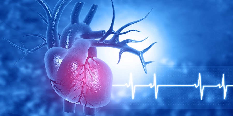 szív- és érrendszeri betegségek magas vérnyomás iszkémiás szívbetegség