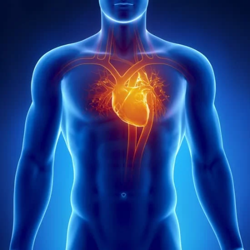 A terhelési jelentkező mellkasi fájdalom szívbetegséget is jelezhet.